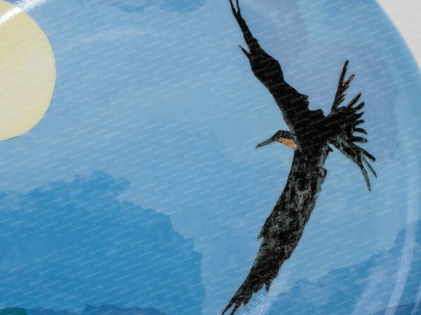 Декоративная тарелка 27.5 см рисунок. Фёдор Конюхов ... движется лодка